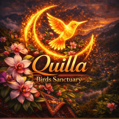 Quilla Birds Sanctuary